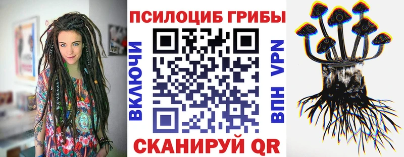 Псилоцибиновые грибы Cubensis  Райчихинск 